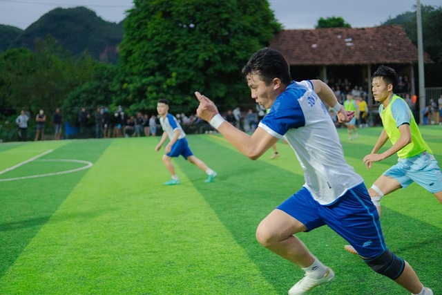 竞争情况